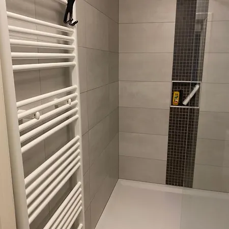Basilic Apartment *